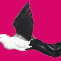 2- mise en page_TRANSHUMANCE