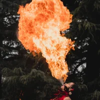 Circos sentidos
